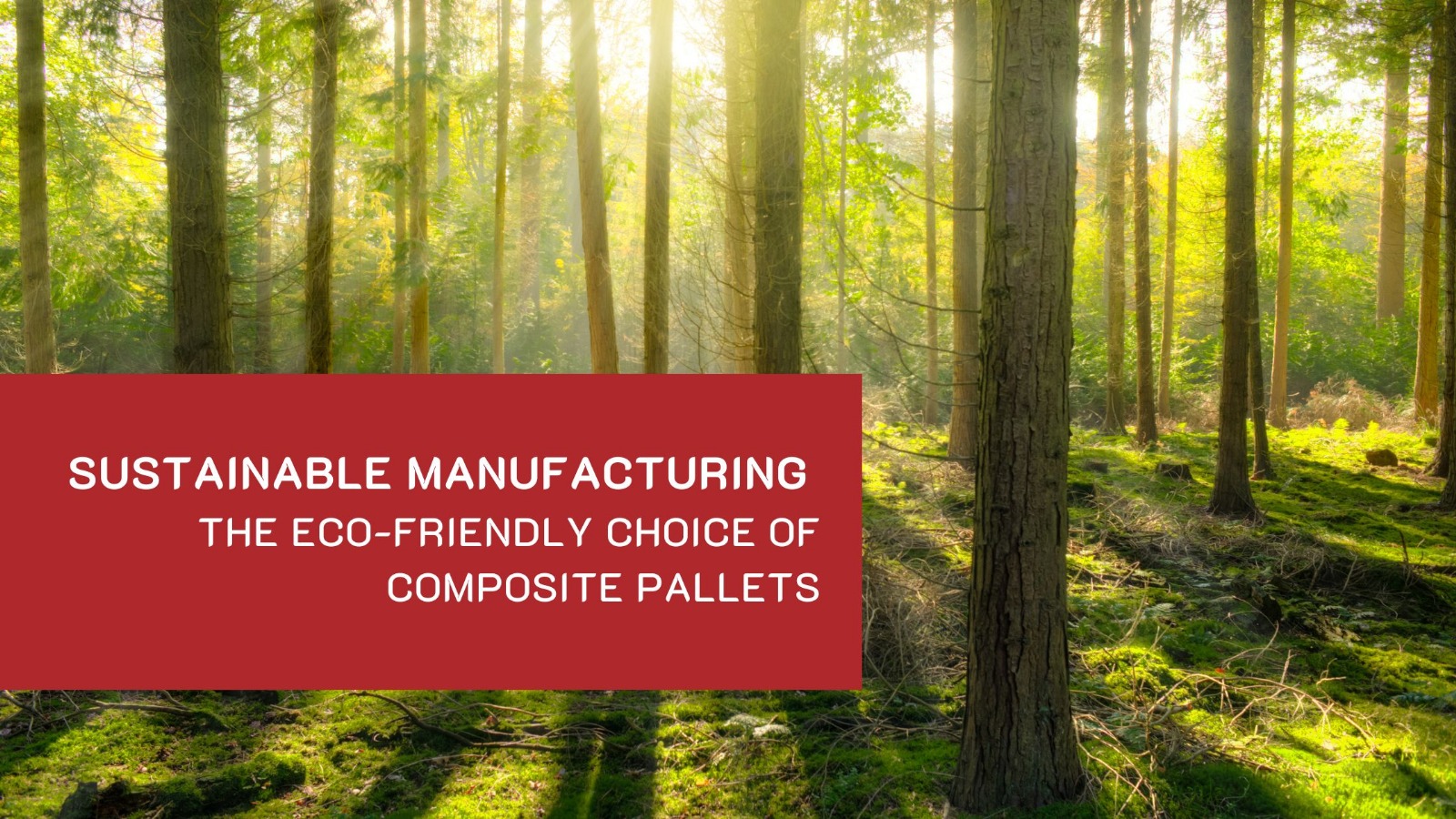 Sustainable Block Manufacturing: The Eco-Friendly Choice of Rhino Composite Pallets